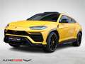 Lamborghini Urus Capsule *CARBON-PANO-HUD-360°-SERVICE NEU* Jaune - thumbnail 1