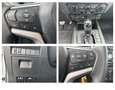 Isuzu D-Max D-Max Double Cab 4WD Autm. LS,KLIMA,AHK,STANDHEIZU Plateado - thumbnail 11