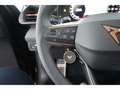 CUPRA Terramar 1.5 eTSI Schwarz - thumbnail 13