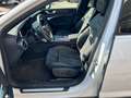 Audi A6 allroad 50 TDI 3.0 quattro tiptronic Bianco - thumbnail 8