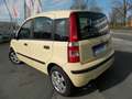 Fiat Panda 1.3 16V JTD Dynamic*Alu* Gelb - thumbnail 3