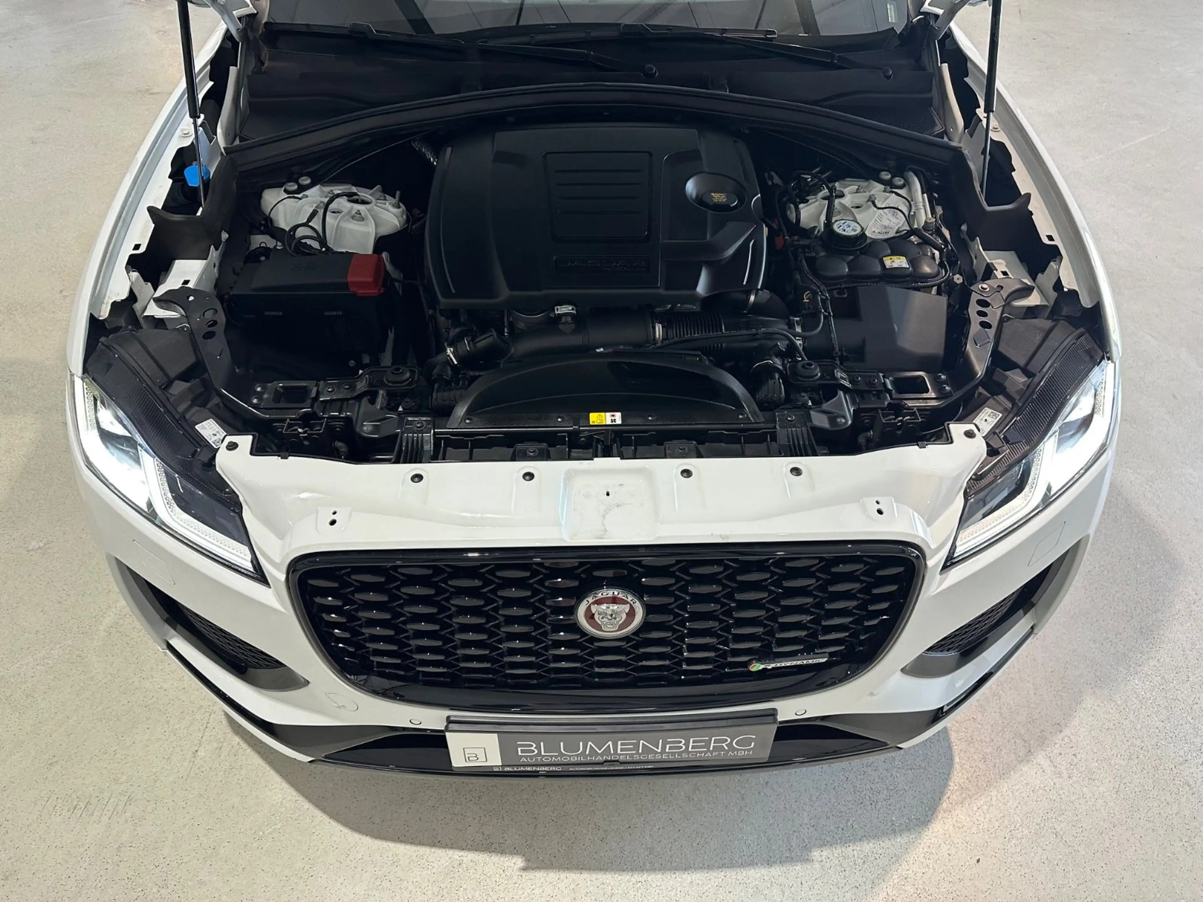 Jaguar F-Pace R-Dynamic S AWD*Pano,ACC,21",Medirian* — photo 11