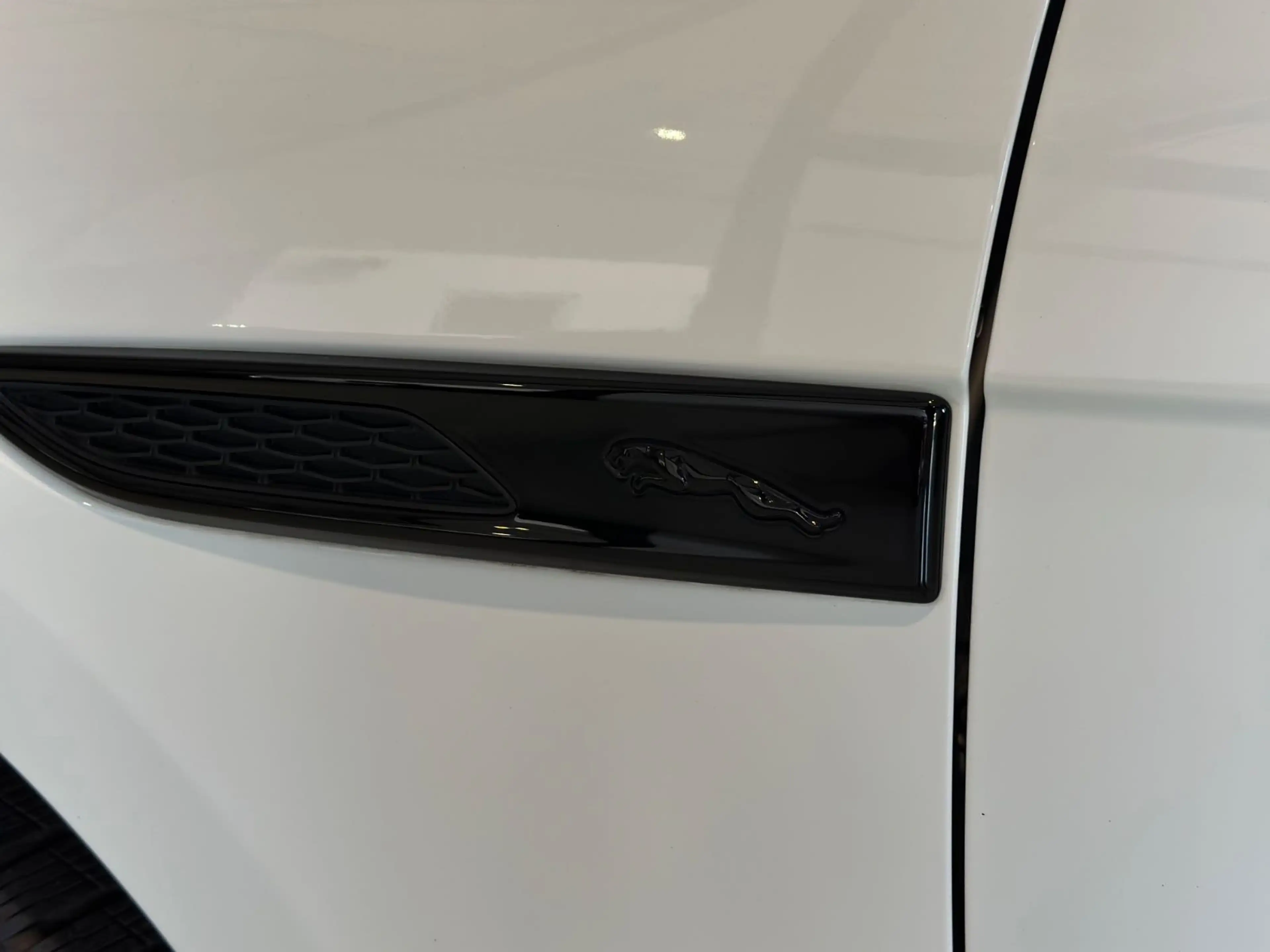Jaguar F-Pace R-Dynamic S AWD*Pano,ACC,21",Medirian* — photo 9