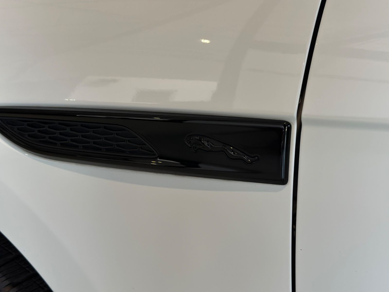 Jaguar F-Pace R-Dynamic S AWD*Pano,ACC,21",Medirian* — photo 9