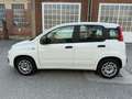 Fiat Panda Panda III 2016 1.2 Easy s Bianco - thumbnail 4