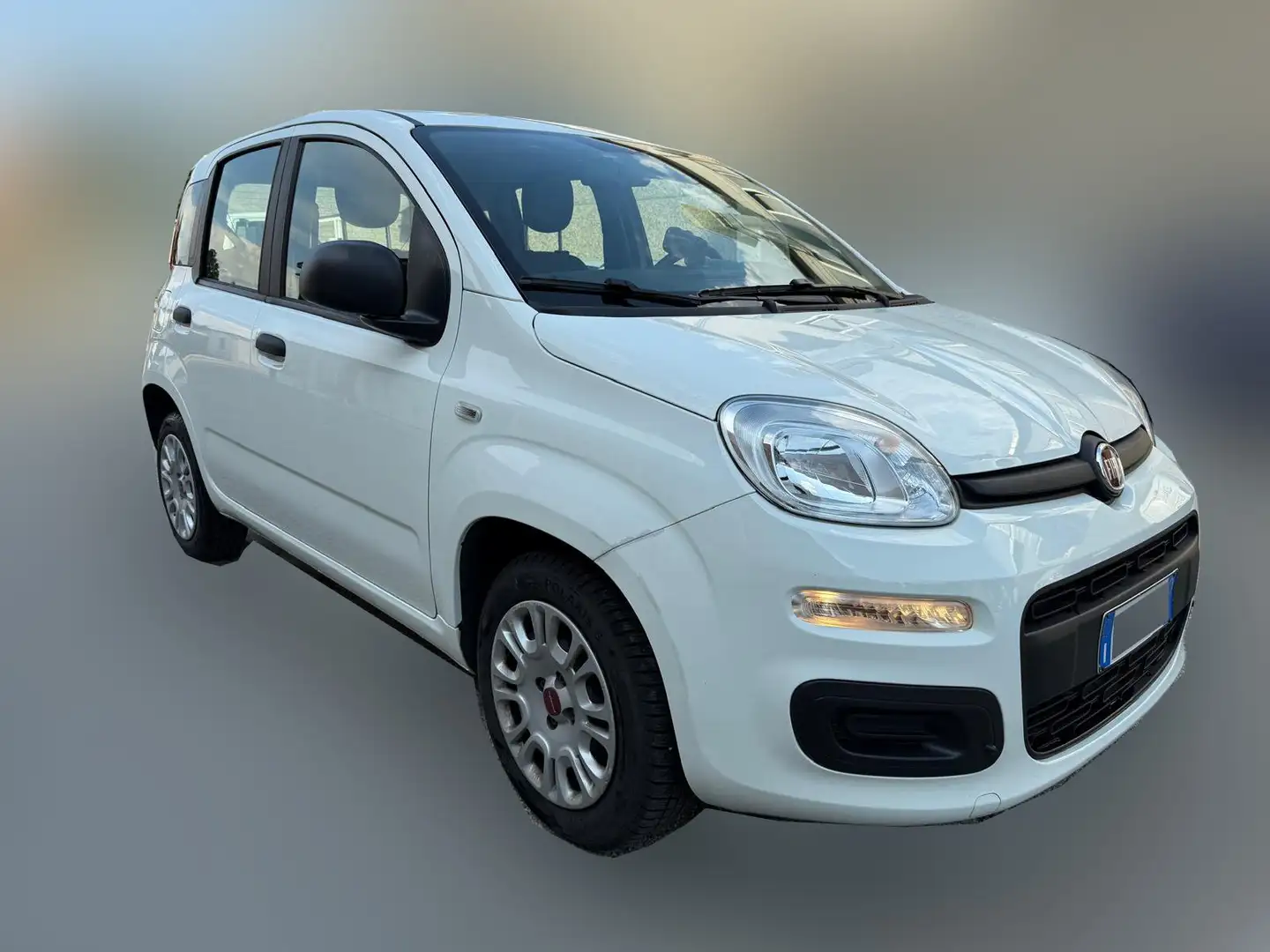 Fiat Panda Panda III 2016 1.2 Easy s Bianco - 2