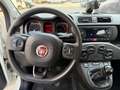 Fiat Panda Panda III 2016 1.2 Easy s Bianco - thumbnail 9