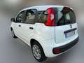 Fiat Panda Panda III 2016 1.2 Easy s Bianco - thumbnail 3