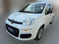 Fiat Panda Panda III 2016 1.2 Easy s Bianco - thumbnail 5