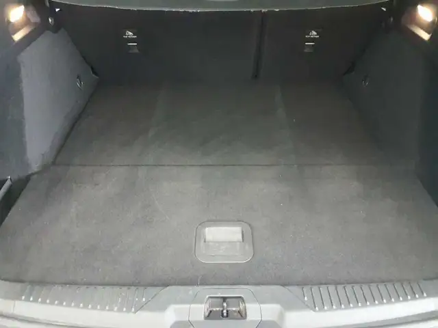 Ford Focus view 15