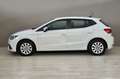 SEAT Ibiza SEAT Ibiza 1.6 TDI 80 CV 5 porte Business Wit - thumbnail 10