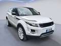 Land Rover Range Rover Evoque 2.2 TD4 150 CV Pure Tech Blanc - thumbnail 2