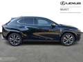 Lexus UX 250h F-Sport Line + SUN ROOF Noir - thumbnail 14