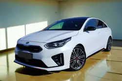 Kia pro cee'd / ProCeed 1.6 T Gdi GT Aut. Navi/Kam/Panorama/Dig