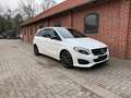 Mercedes-Benz B 200 d Urban Autom Navi LED Kamera Night Paket Weiß - thumbnail 3