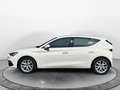 SEAT Leon 1.0 TSI SHZ*PDC*Klima*Ganzjahresreifen Weiß - thumbnail 3