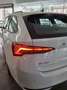 Skoda Octavia Wagon 2.0 TDI 150 CV SCR DSG Executive Weiß - thumbnail 27