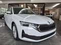 Skoda Octavia Wagon 2.0 TDI 150 CV SCR DSG Executive Weiß - thumbnail 25