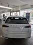 Skoda Octavia Wagon 2.0 TDI 150 CV SCR DSG Executive Weiß - thumbnail 24