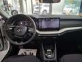 Skoda Octavia Wagon 2.0 TDI 150 CV SCR DSG Executive Weiß - thumbnail 13