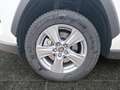 Toyota RAV 4 RAV4 2.5 Hybrid Business Edition +Kamera+LED+ Weiß - thumbnail 15