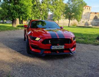 5.0 Ti-VCT V8 GT. 850 hp