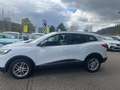 Renault Kadjar dCi 130 Bose 4x4 AHK Weiß - thumbnail 17