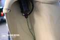 Moto Guzzi Galletto 192 - Accensione a Pedale! Beige - thumbnail 4