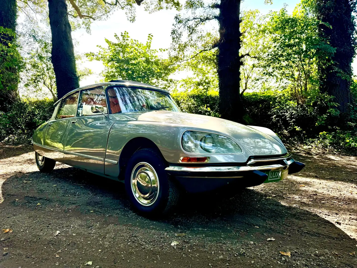 Citroen DS FD Gri - 1