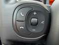 Fiat Panda Cross 1.0 Hybrid (vedi PROMO FINANZIAMENTO) Grau - thumbnail 21