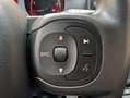 Fiat Panda Cross 1.0 Hybrid (vedi PROMO FINANZIAMENTO) Grau - thumbnail 23
