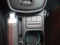Ford Puma 1.0 ST-LINE 125CV HYBRID AUTOMATICA + WINTER PACK Blu/Azzurro - thumbnail 12