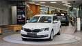 Skoda Octavia Combi 1.6 TDI STYLE *Tempomat*Navi*Carplay*Xenon* Weiß - thumbnail 2