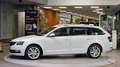 Skoda Octavia Combi 1.6 TDI STYLE *Tempomat*Navi*Carplay*Xenon* Weiß - thumbnail 5