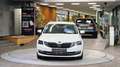 Skoda Octavia Combi 1.6 TDI STYLE *Tempomat*Navi*Carplay*Xenon* Weiß - thumbnail 3