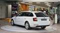 Skoda Octavia Combi 1.6 TDI STYLE *Tempomat*Navi*Carplay*Xenon* Weiß - thumbnail 7