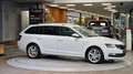 Skoda Octavia Combi 1.6 TDI STYLE *Tempomat*Navi*Carplay*Xenon* Weiß - thumbnail 9