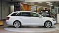 Skoda Octavia Combi 1.6 TDI STYLE *Tempomat*Navi*Carplay*Xenon* Weiß - thumbnail 10