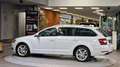 Skoda Octavia Combi 1.6 TDI STYLE *Tempomat*Navi*Carplay*Xenon* Weiß - thumbnail 6