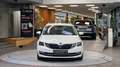 Skoda Octavia Combi 1.6 TDI STYLE *Tempomat*Navi*Carplay*Xenon* Weiß - thumbnail 16