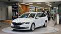 Skoda Octavia Combi 1.6 TDI STYLE *Tempomat*Navi*Carplay*Xenon* Weiß - thumbnail 15