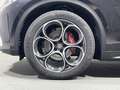Alfa Romeo Stelvio 2.0 Turbo 200 CV AT8 Q4 Executive Nero - thumbnail 9