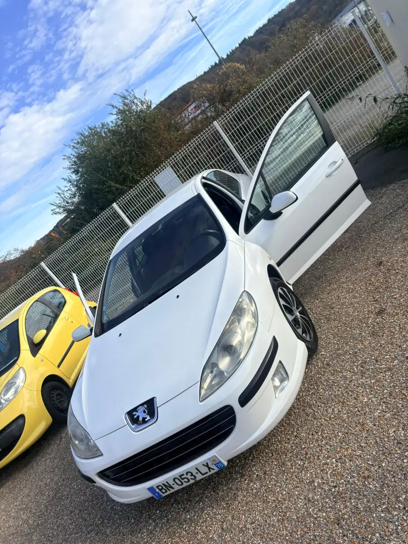 Peugeot 407 407 1.6 HDi Confort - 1