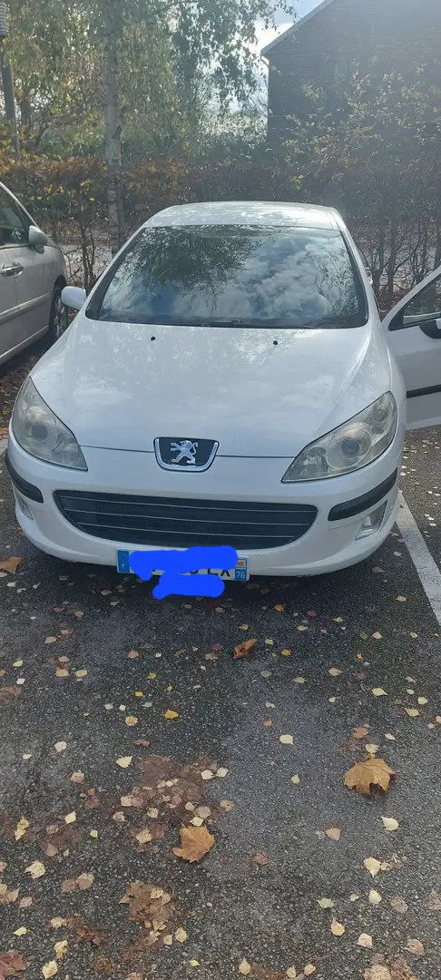 Peugeot 407 407 1.6 HDi Confort - 2