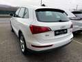 Audi Q5 2.0 TDI quattro S Line 1.Hand, Automatik Weiß - thumbnail 4