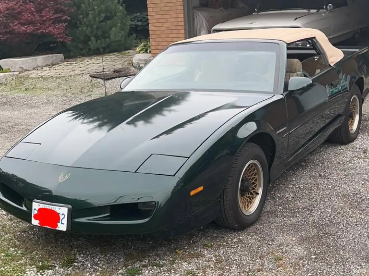 Pontiac Firebird снимка Pontiac Firebird