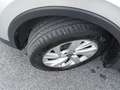 Volkswagen Tiguan 1.5 TSI 150 CV DSG ACT Life 5 posti Fatturab. Gris - thumbnail 15