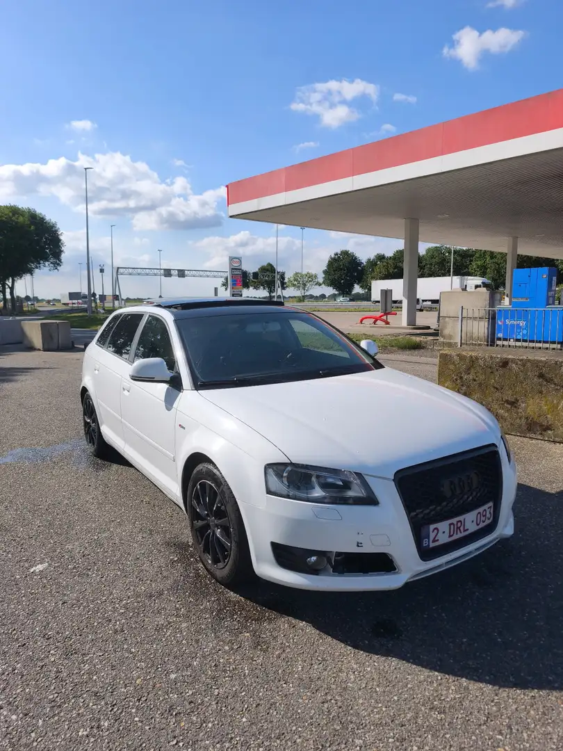 Audi A3 8P Sportback 1.6 Sline - 1