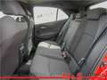 Toyota Corolla 1.2 Comfort KLIMA SHZ KAMERA NAVI Rojo - thumbnail 6
