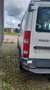 Iveco Sonstige Weiß - thumbnail 6